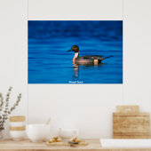 Pindenduck Poster (Keuken)
