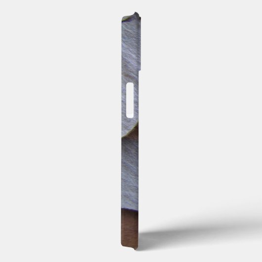 Pine Bark iPhone 13 Coque (Verso / Droite)