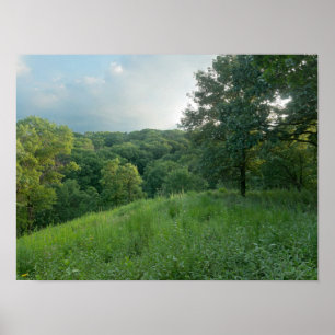 Pine Bend Bluff Overkijkend Valley Woodlands Poster
