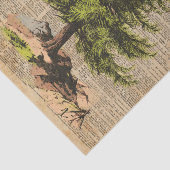 Pine,Cedar-boom,kerstboomkunst, kunstwerk, Tissuepapier (Detail)