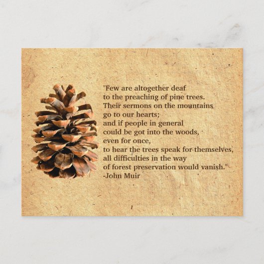 Pine Cone en John Muir Quote Briefkaart (Voorkant)