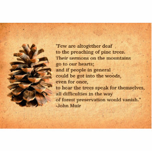 Pine Cone en John Muir Quote Fotobeeldje Magneet