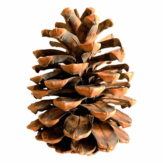 Pine Cone Fotobeeldje Magneet (Voorkant)