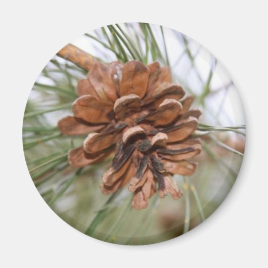 Pine Cone Magneet (Voorkant)