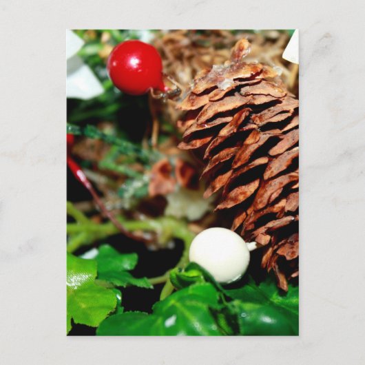 Pine Cone met Ivy Briefkaart (Voorkant)