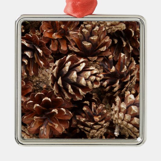 Pine Cone Ornament (Voorkant)