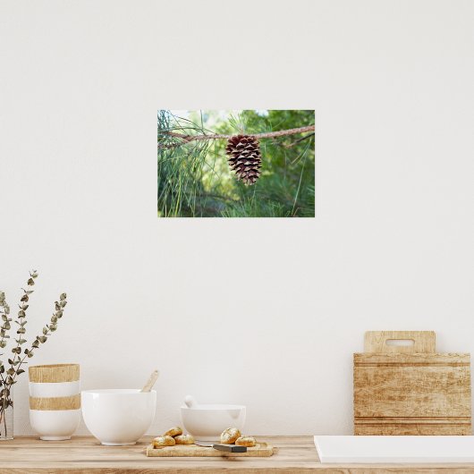 Pine Cone Poster (Keuken)