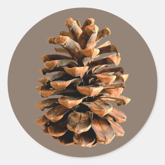 Pine Cone Ronde Sticker (Voorkant)
