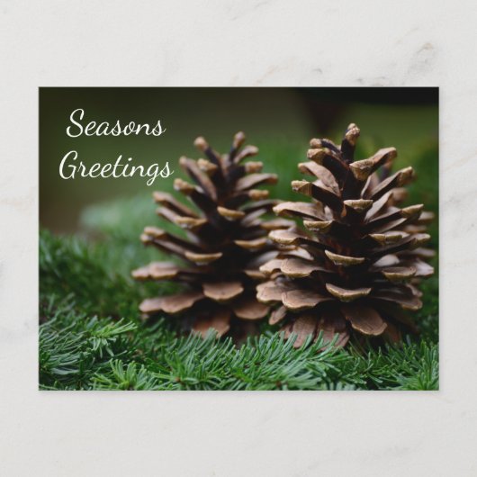 Pine Cone Seasons Greetings Briefkaart (Voorkant)
