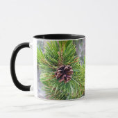 Pine Cone van Lodgepole Pine Mok (Links)