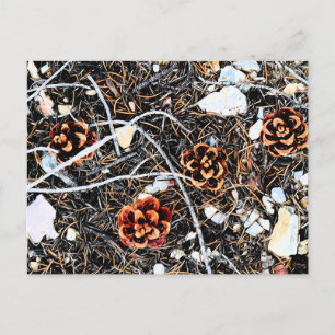 Pine Cones Briefkaart