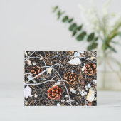 Pine Cones Briefkaart (Staand voorkant)
