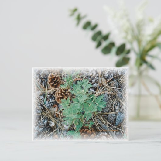 Pine Cones en Fern Briefkaart (Staand voorkant)