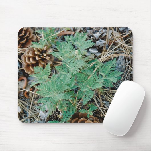 Pine Cones en Fern Mousepad Muismat (Met muis)