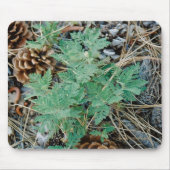 Pine Cones en Fern Mousepad Muismat (Voorkant)