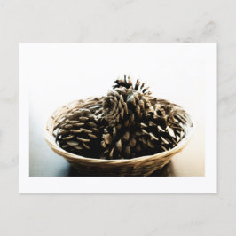 Pine Cones in a Pile Postcard Print by JH Thornton Briefkaart