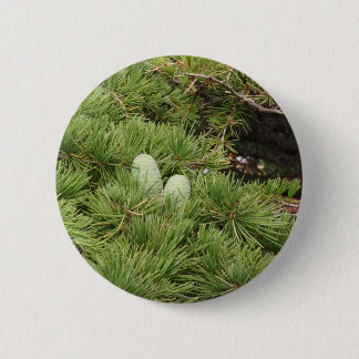 Pine Cones Ronde Button 5,7 Cm