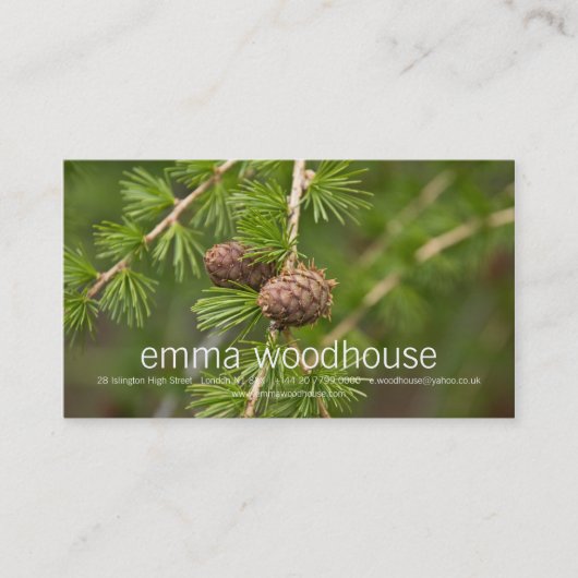 Pine Cones Visitekaartje (Voorkant)