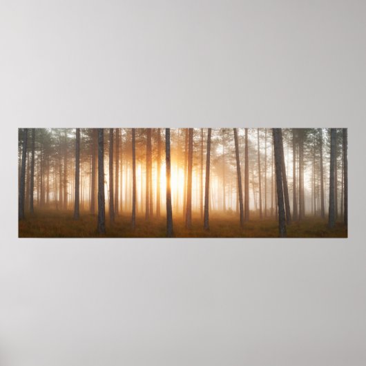 Pine Forest Landscape Poster (Voorkant)