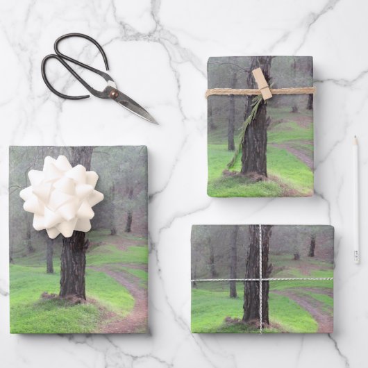 Pine Forest Road Inpakpapier Vel (Voorkant)