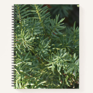 Pine Forest spiraal Notitieboek