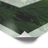 Pine Forest Trees Poster Print Perfect Poster (Hoek)