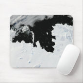 Pine Island Bay in West-Antarctica Muismat (Met muis)