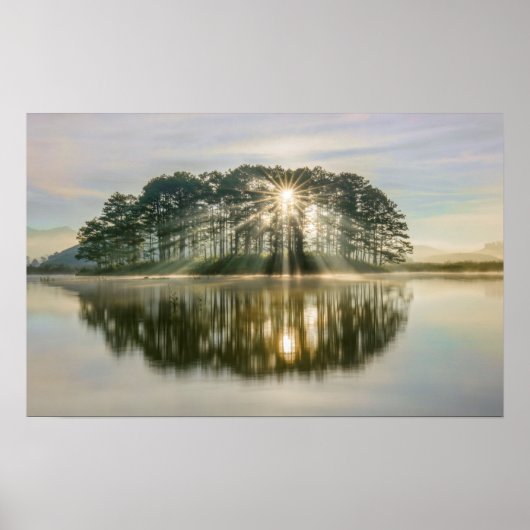 Pine Island Sunray Poster (Voorkant)