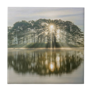 Pine Island Sunray Tegeltje