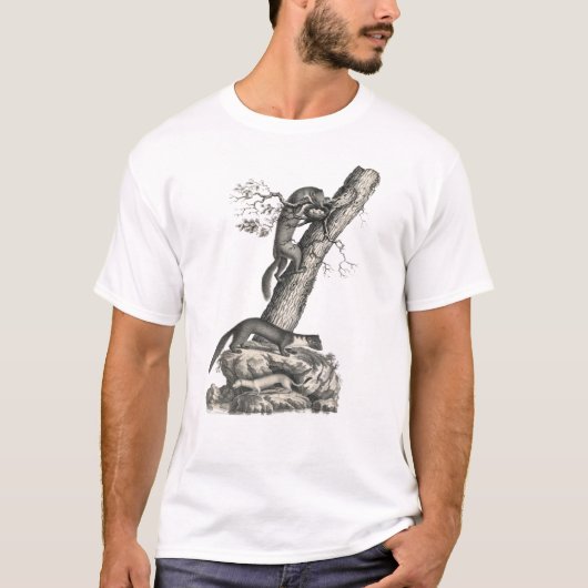 Pine Marten, House Marten en Ermine Antiek Print T-shirt (Voorkant)