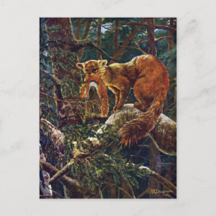 Pine Marten met Prey Briefkaart