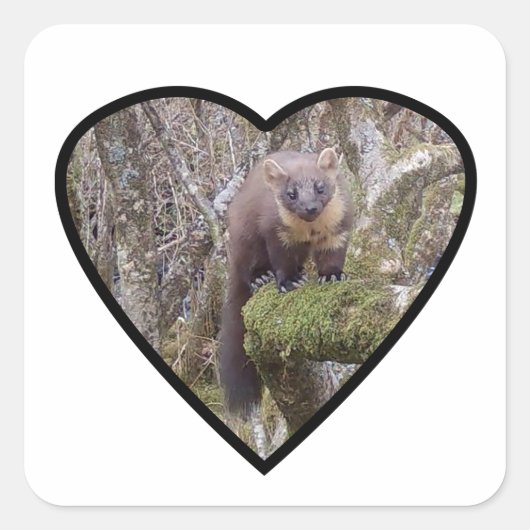 Pine Marten op Log Vierkante Sticker (Voorkant)