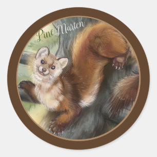 Pine Marten Ronde Sticker