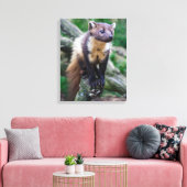 Pine Marten Wrapped Canvas Afdruk (Insitu (Woonkamer))