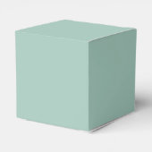 Pine Mint Snowflake Vrolijk Kerstfeest Bedankdoosjes (Achterkant)
