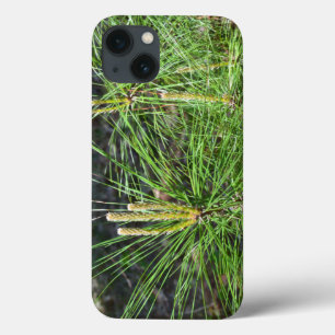 Pine Needles van Kenneth Yoncich iPhone 13 Hoesje