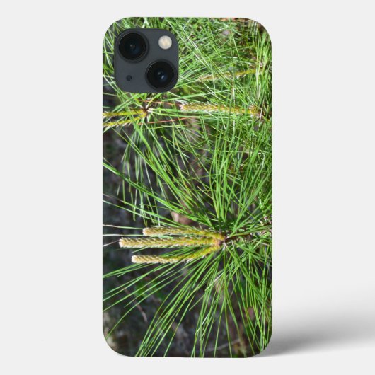 Pine Needles van Kenneth Yoncich Case-Mate iPhone Case (Achterkant)