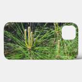 Pine Needles van Kenneth Yoncich Case-Mate iPhone Case (Achterkant (horizontaal))
