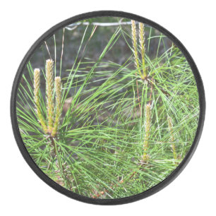 Pine Needles van Kenneth Yoncich Hockey Puck