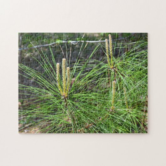 Pine Needles van Kenneth Yoncich Legpuzzel (Horizontaal)