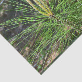 Pine Needles van Kenneth Yoncich Tissuepapier (Detail)