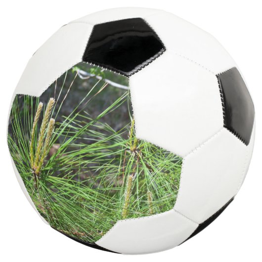 Pine Needles van Kenneth Yoncich Voetbal (Drie kwart)