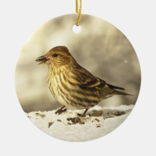 Pine Siskin Keramisch Ornament