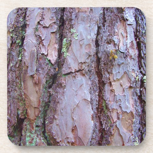 Pine Tree Bark Dessous de verre en plastique dur (Devant)