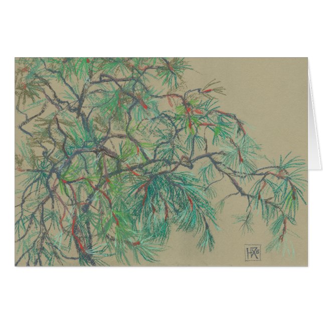Pine Tree Branch, Dessin botanique floral pastel (Devant horizontal)