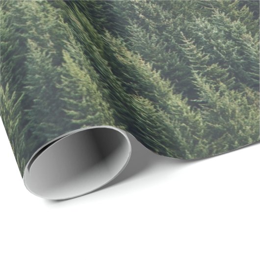 PINE TREE FOREST CADEAUPAPIER (Rol Hoek)