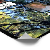 Pine Tree Forest Foto 2 Family Trees Poster (Hoek)