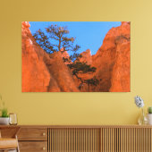 Pine Tree In Hoodoos Canvas Afdruk (Insitu (Woonkamer))