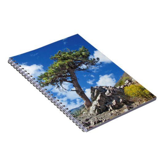 Pine Tree spiral notebook Notitieboek (Rechterzijde)