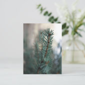 Pine Trees Briefkaart (Staand voorkant)